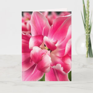 Grace in Every Season Pink Tulip Folded Greeting Card
