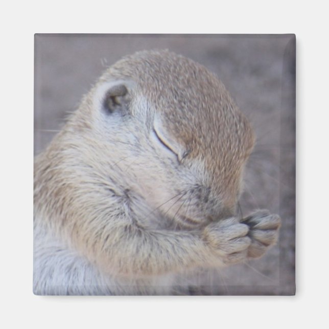 Grace Magnet (Front)