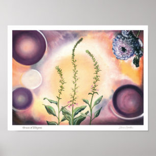 Grace of Filigree - Fine Art Print