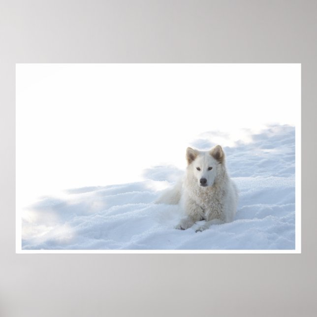 Grace Poster (Front)