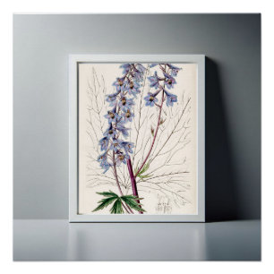 Graceful Delphinium Artwork for Your Home Poster