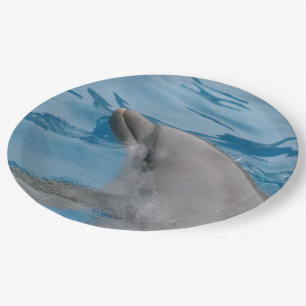 Graceful Dolphin Swimming in Clear Blue Water Paper Plate