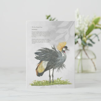 Graceful Endangered Grey Crowned Crane Card