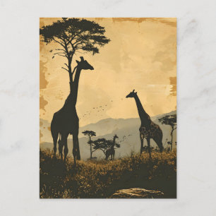 Graceful Giants: Vintage Giraffes Postcard
