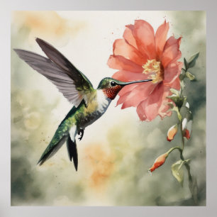 Graceful Hummingbird- water colour painting Poster