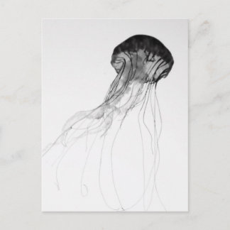 Graceful Jellyfish Postcard