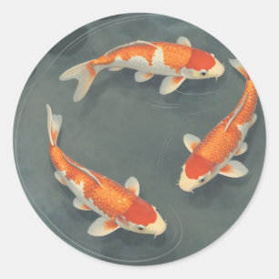 Graceful Koi Fish Pond Serenity Design Classic Round Sticker