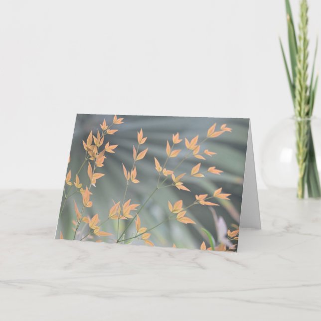 graceful leaves blank card (Front)