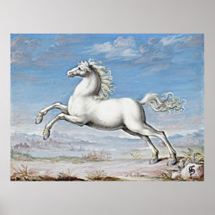 Graceful Power: White Horse - Retro Artwork Poster