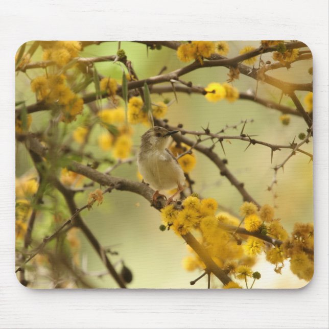 Graceful Prinia Mouse Pad (Front)