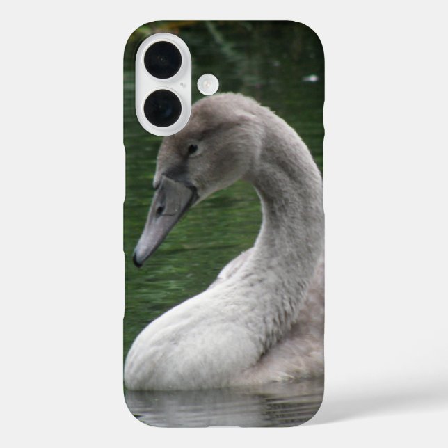 Graceful Swan on the Water iPhone Case (Back)