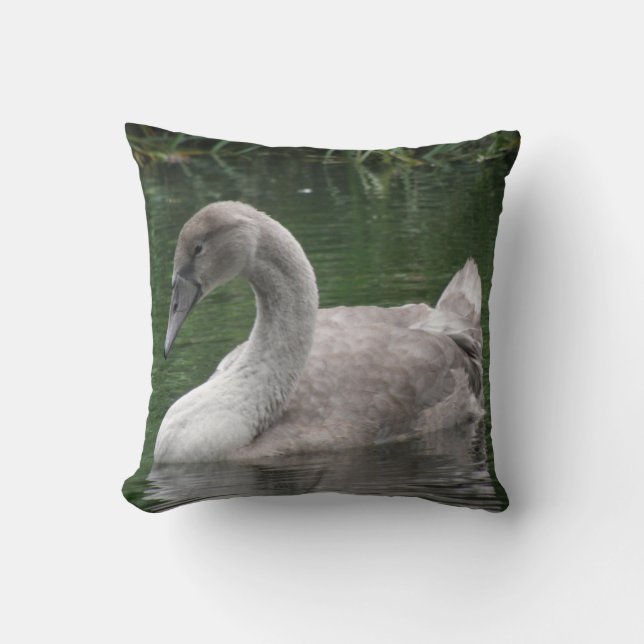 Graceful Swan on the Water Pillow (Front)