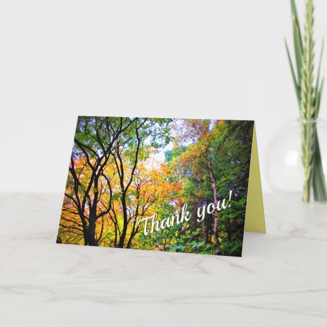 Graceful Trees Colourful Leaves Forest Nature Thank You Card (Front)