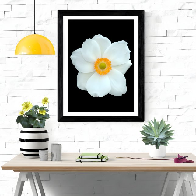 Graceful White Anemone Photo Print (Creator Uploaded)