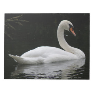 Graceful White Swan Notepad