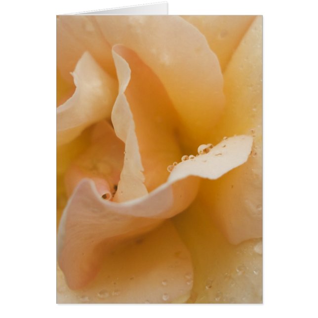 Grace's Gentle Touch Card (Front)