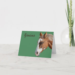 Gracias Thank you Horse Grazing Notecard