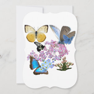 Gracious Butterflies and Flowers