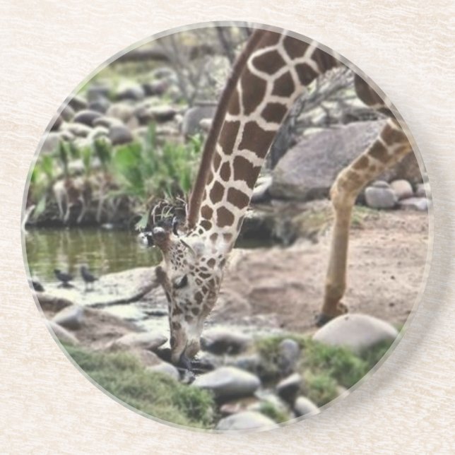 Gracious Giraffe Coaster (Front)