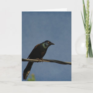 Grackle Power, Happy Birthday Card