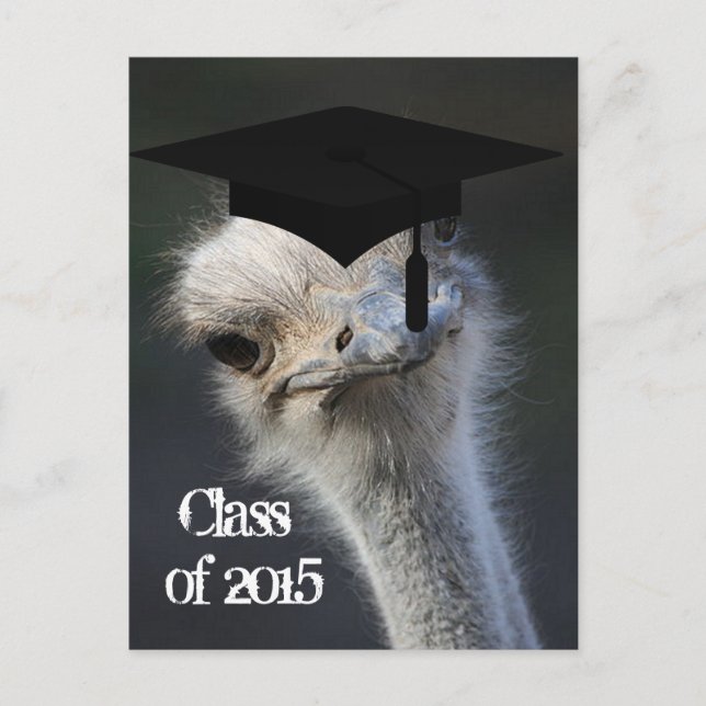 Grad Announcement Postcard (Front)