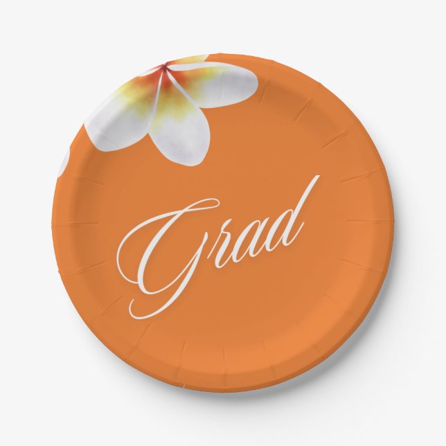 grad party balloon paper plate (Front)