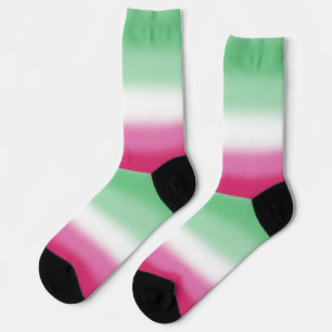 Gradient Abrosexual Pride Flag  Socks