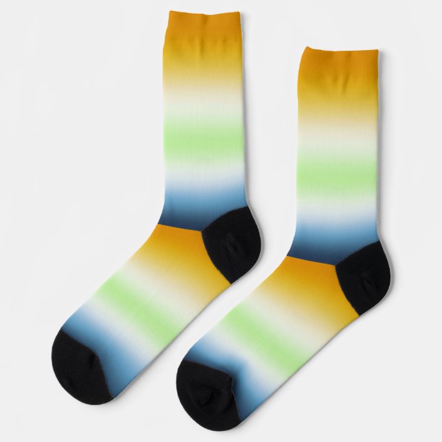 Gradient AroAce Agender Pride Flag Socks (Left)