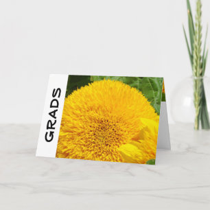 GRADS greeting cards Personalised Sunflowers
