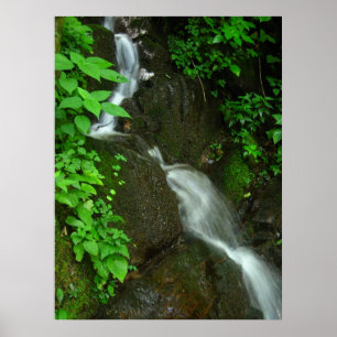 Gradual Growth Poster
