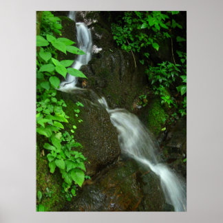 Gradual Growth Poster