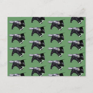 Graduate Skunk Postcard