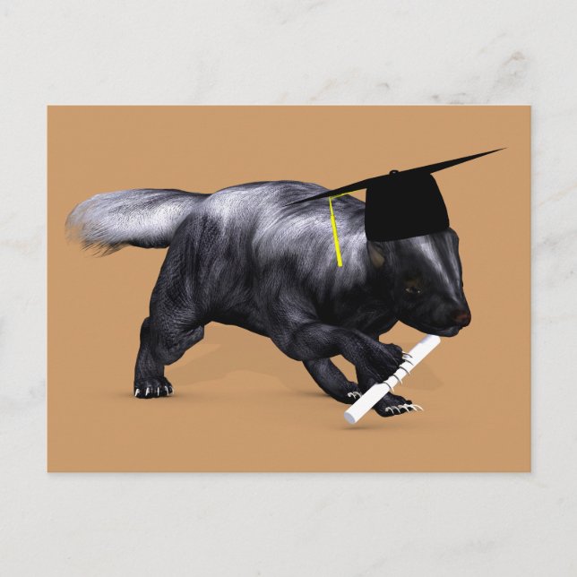 Graduate Skunk Postcard (Front)