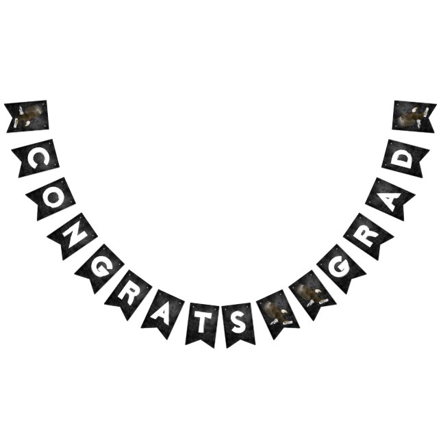 Graduation 2025 Bald Eagle On Leather Bunting (All)