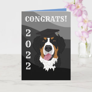 Graduation Bernese Mountain Dog  Card