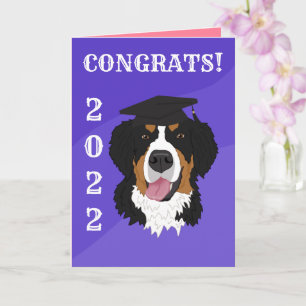 Graduation Bernese Mountain Dog  Card