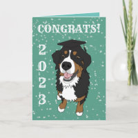 Graduation Bernese Mountain Dog Card