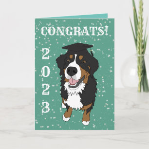 Graduation Bernese Mountain Dog  Card