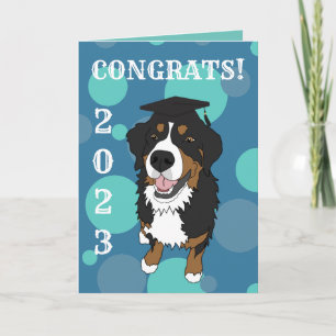 Graduation Bernese Mountain Dog Card