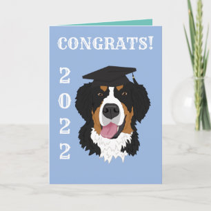 Graduation Bernese Mountain Dog  Card