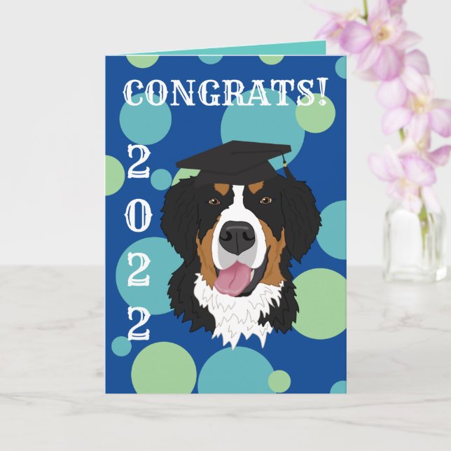 Graduation Bernese Mountain Dog  Card (Orchid)