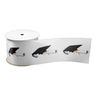 Graduation Cap With Diploma Satin Ribbon