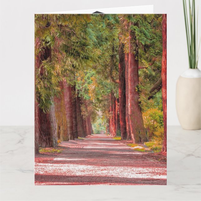 Graduation Card (Front)