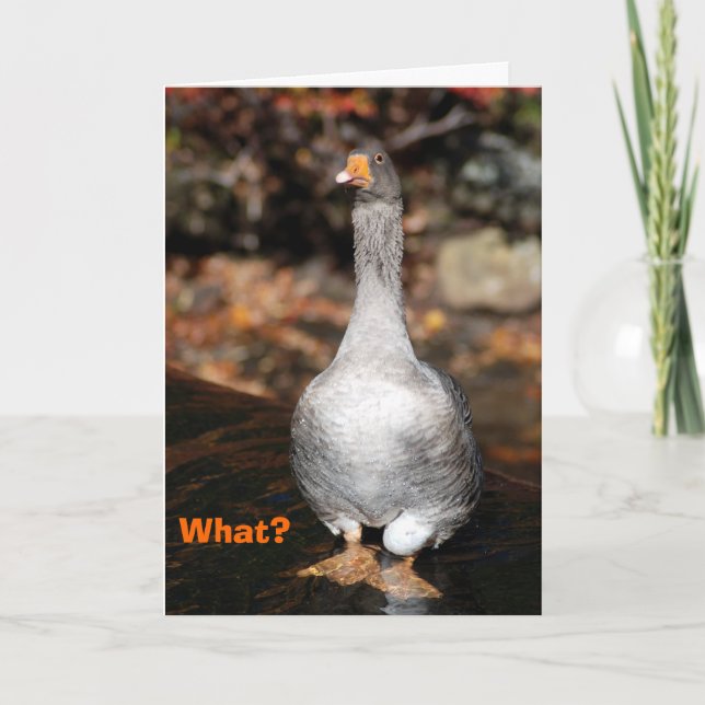 Graduation Card (Front)