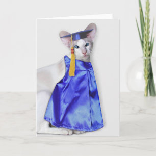 Graduation Cat Greeting Card