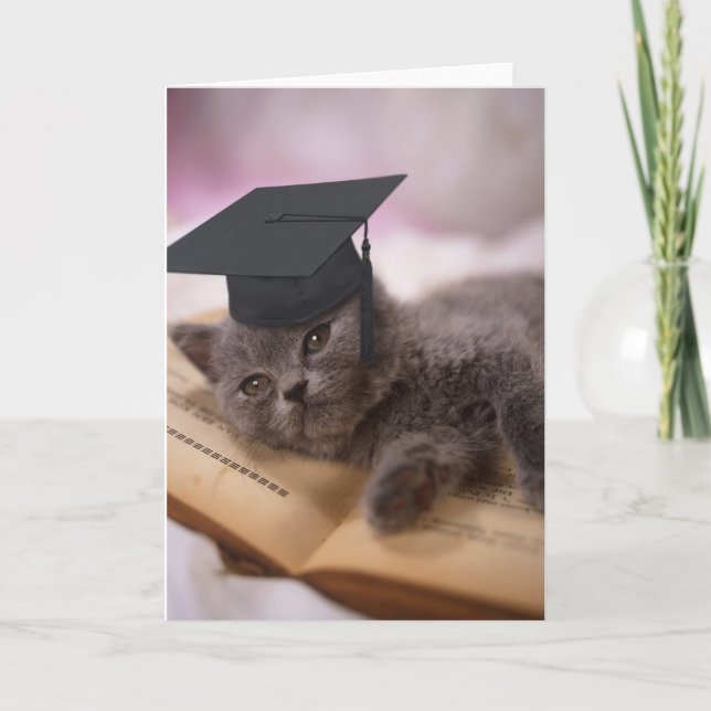 Graduation, cat with hat card (Front)