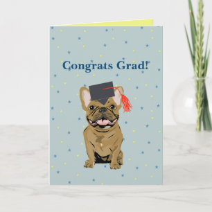 Graduation, Congrats Grad! French Bulldog Card