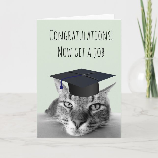 Graduation Congratulations Angry Cat Humour Card (Front)
