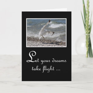 Graduation Congratulations - Seagull Taking Flight Card
