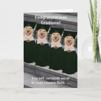 Graduation Criminal Justice